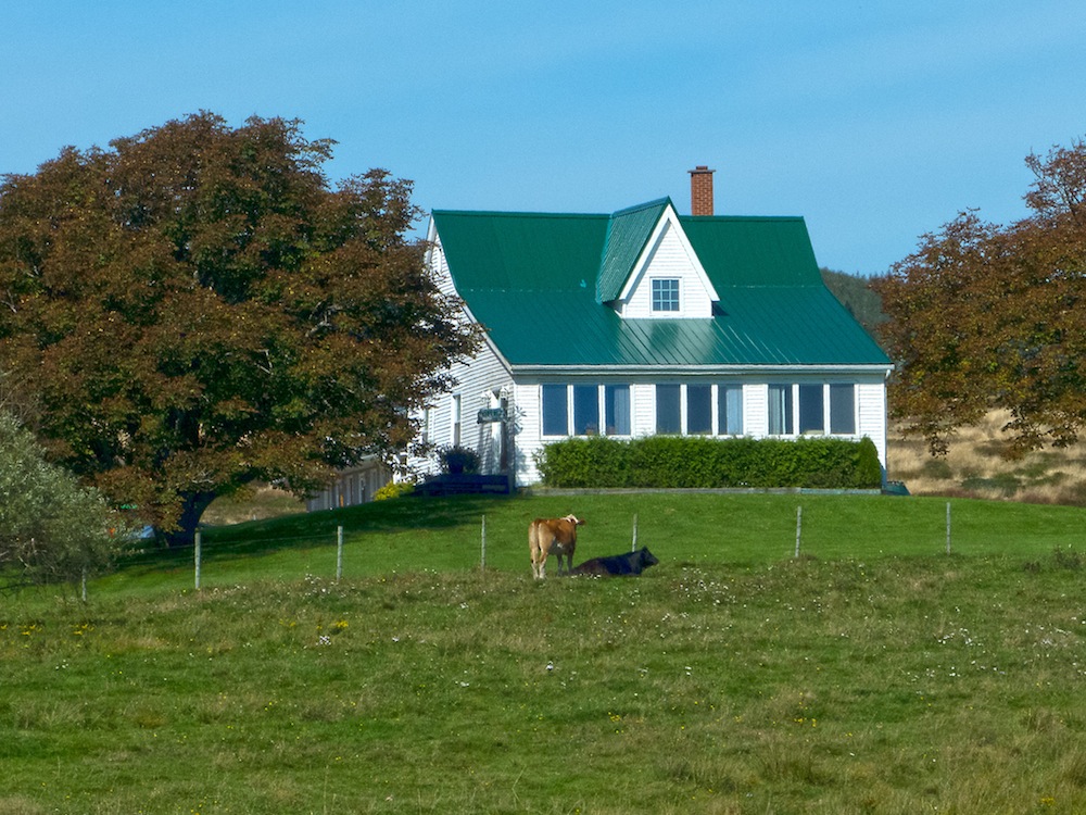 Accommodations on the Bay of Fundy next to Cape Chignecto Provincial Park and Wilderness Hiking Trails