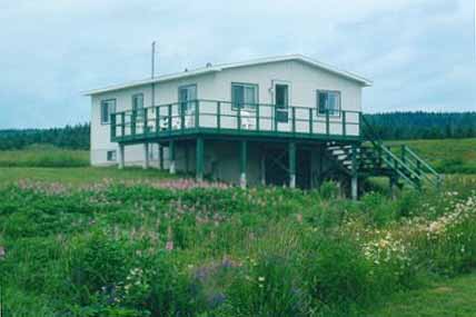 Homestead Cottage